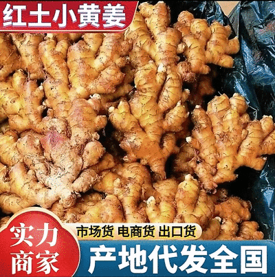 贵州小黄姜/产地直供/坏烂包赔【加工厂/电商货/市场货】