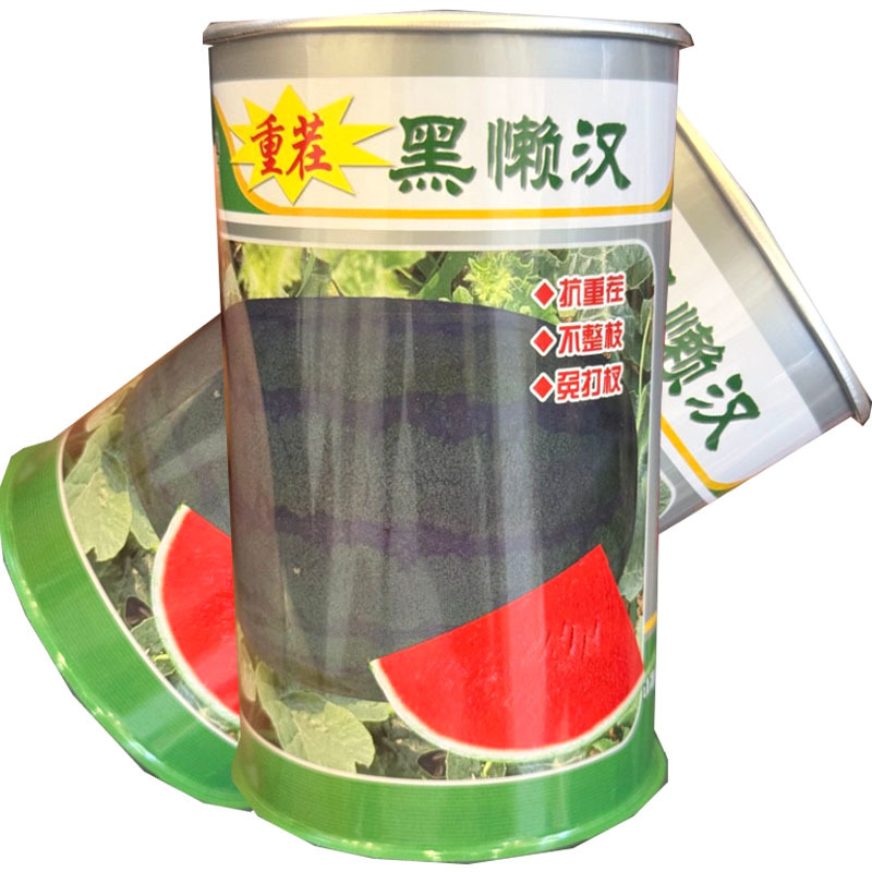 黑懒汉西瓜种子抗重茬不整枝免打权瓤色大红黑皮西瓜种子