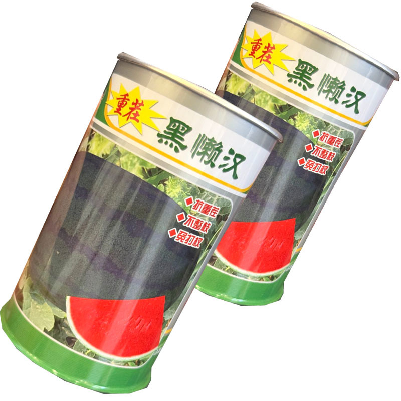 黑懒汉西瓜种子抗重茬不整枝免打权瓤色大红黑皮西瓜种子