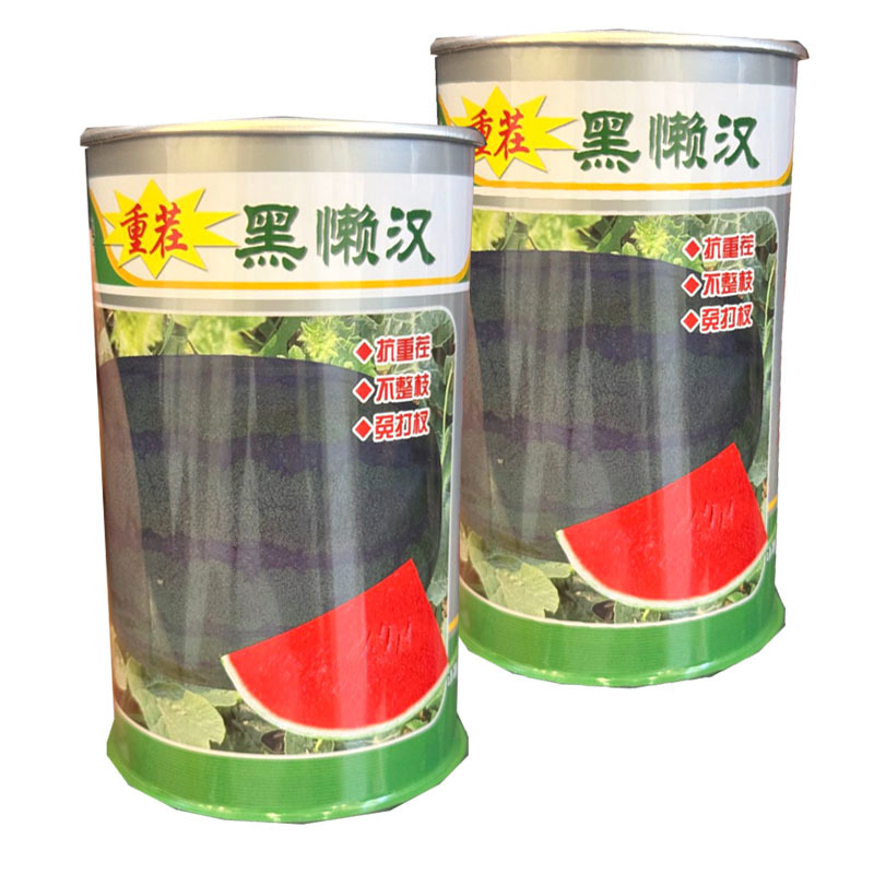 黑懒汉西瓜种子抗重茬不整枝免打权瓤色大红黑皮西瓜种子
