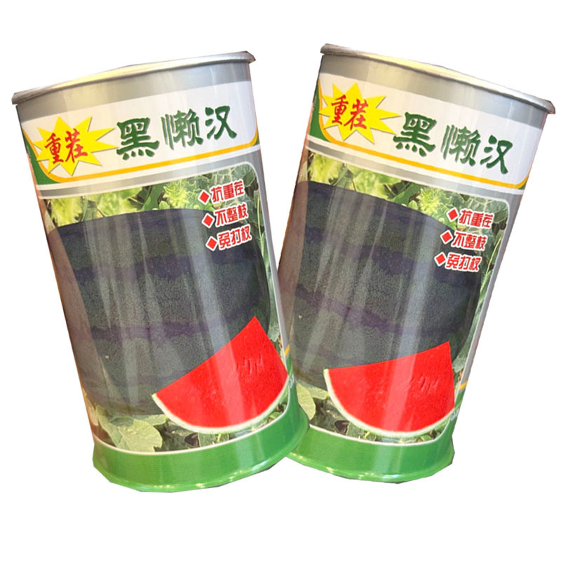 黑懒汉西瓜种子抗重茬不整枝免打权瓤色大红黑皮西瓜种子