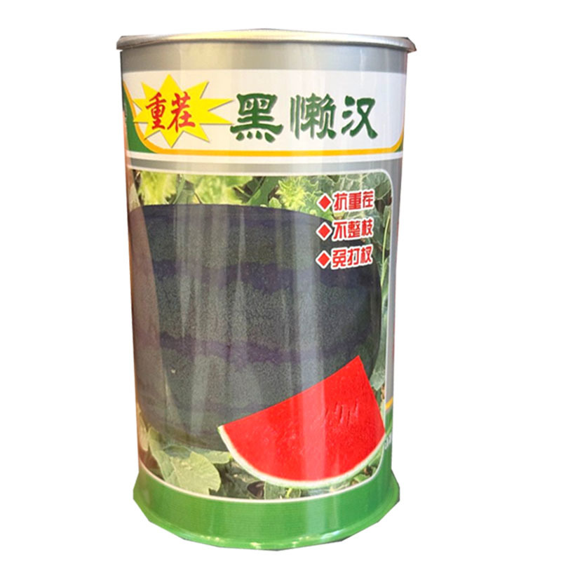 黑懒汉西瓜种子抗重茬不整枝免打权瓤色大红黑皮西瓜种子