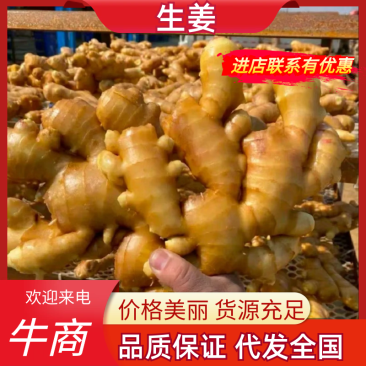 精品山东生姜品质保证产地直发价格优惠实力商家