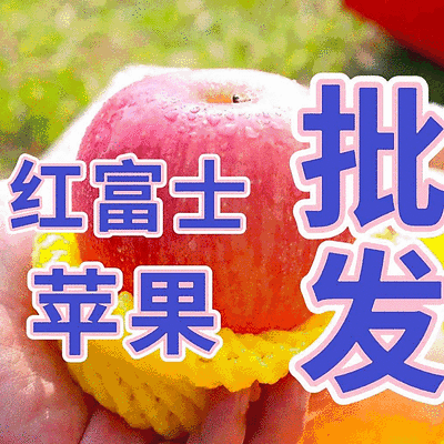 《常年批发》红富士苹果/片红全红/规格齐全/可全国发货