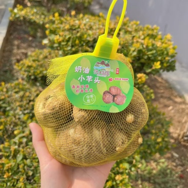 奶油芋头个大体圆皮薄肉嫩香味醇厚规格齐全欢迎下单