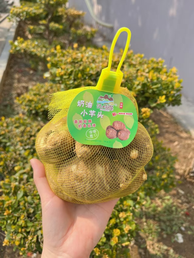 奶油芋头个大体圆皮薄肉嫩香味醇厚规格齐全欢迎下单