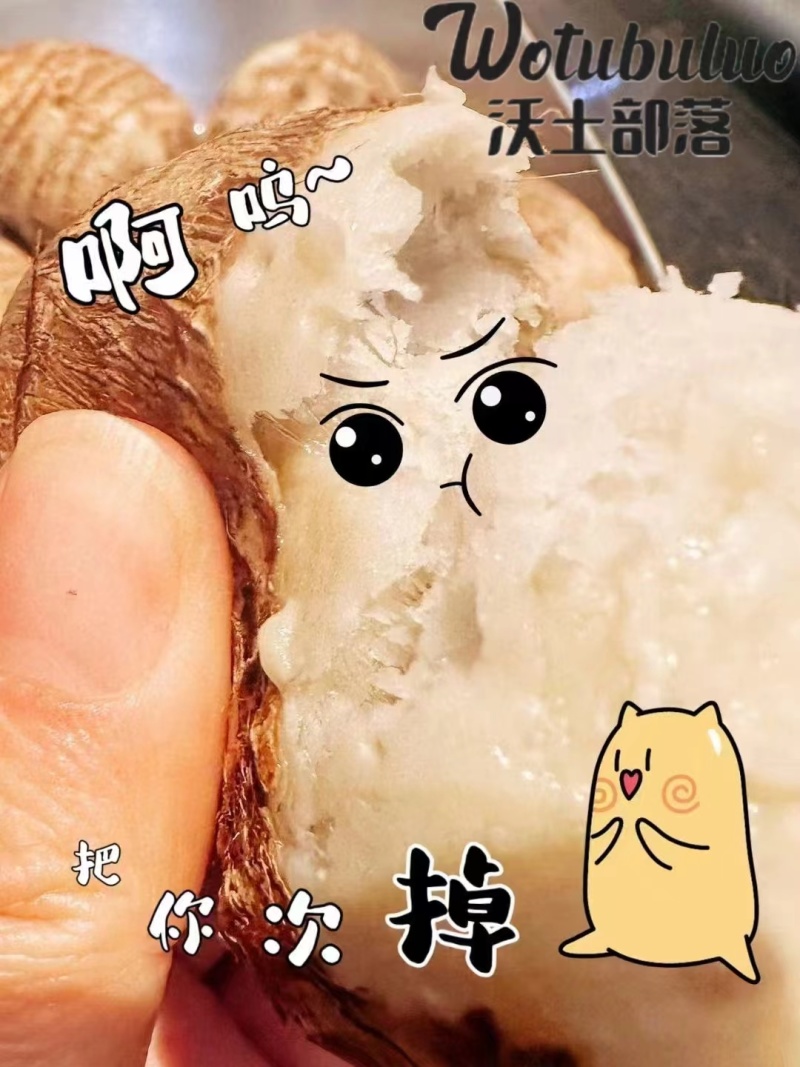 奶油芋头个大体圆皮薄肉嫩香味醇厚规格齐全欢迎下单