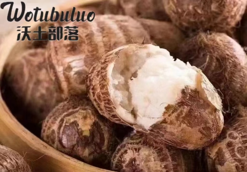 奶油芋头个大体圆皮薄肉嫩香味醇厚规格齐全欢迎下单