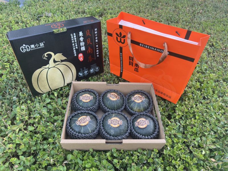 南小萌沃土三号贝贝南瓜规格齐全包装精美欢迎来电咨询