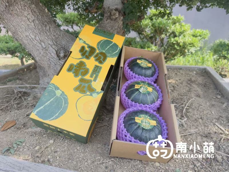 南小萌沃土三号贝贝南瓜规格齐全包装精美欢迎来电咨询