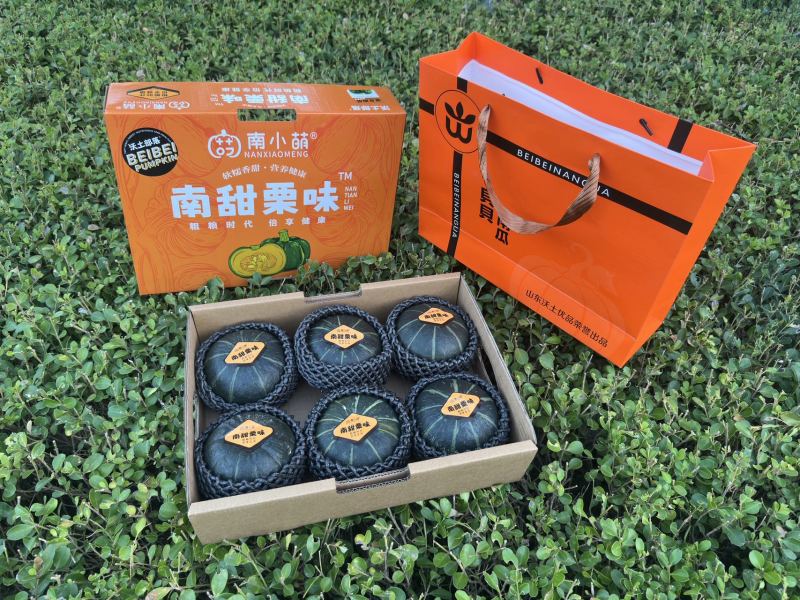 南小萌沃土三号贝贝南瓜规格齐全包装精美欢迎来电咨询