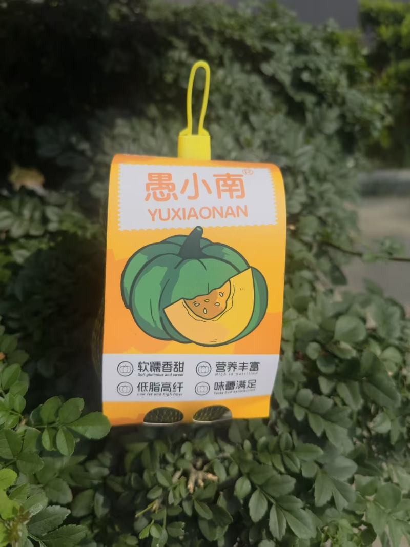 南小萌沃土三号贝贝南瓜规格齐全包装精美欢迎来电咨询