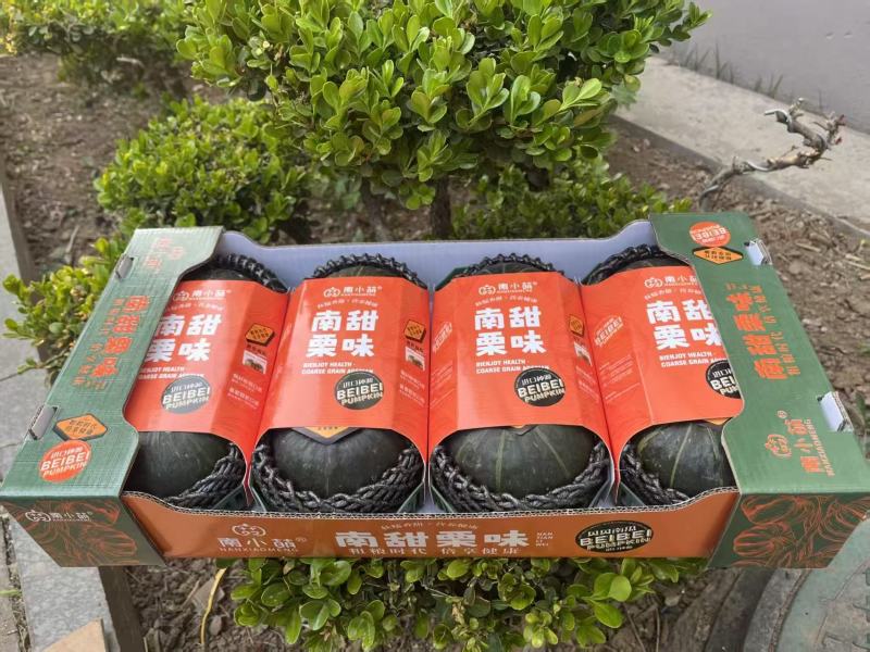 南小萌沃土三号贝贝南瓜规格齐全包装精美欢迎来电咨询