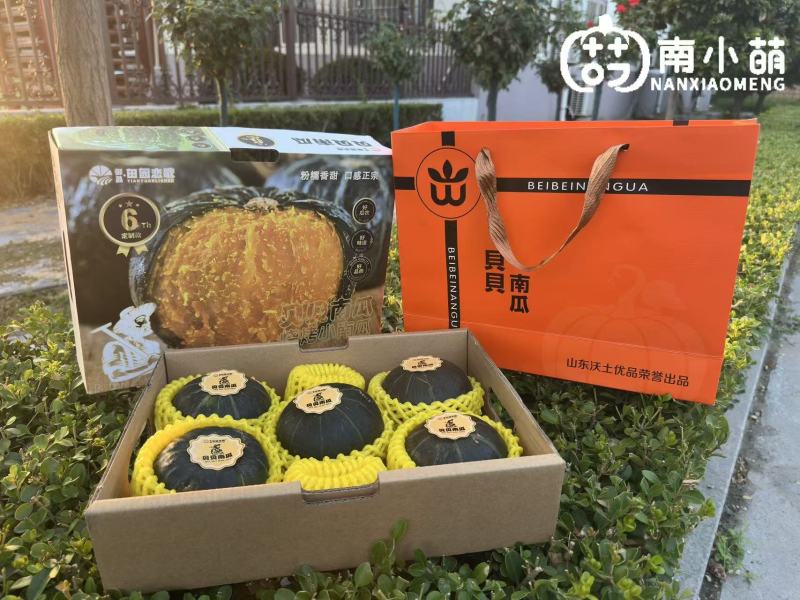 南小萌沃土三号贝贝南瓜规格齐全包装精美欢迎来电咨询