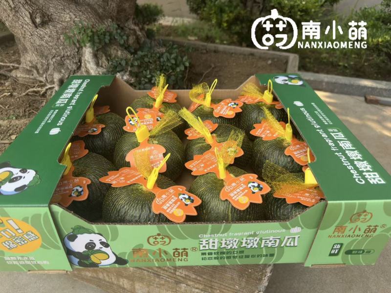 南小萌沃土三号贝贝南瓜规格齐全包装精美欢迎来电咨询