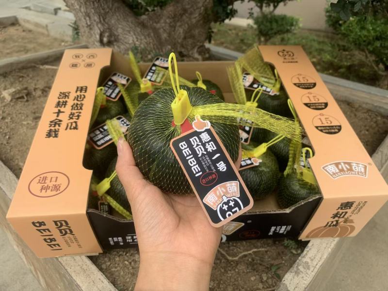 南小萌惠和一号贝贝南瓜实力供应量大从优欢迎选购