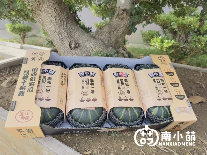 南小萌惠和一号贝贝南瓜实力供应量大从优欢迎选购