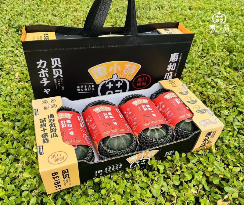 南小萌惠和一号贝贝南瓜实力供应量大从优欢迎选购