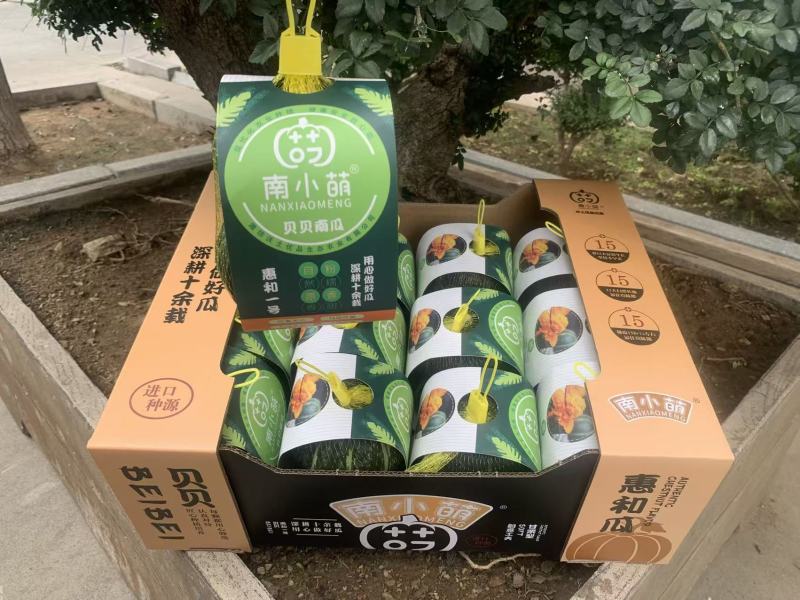 南小萌惠和一号贝贝南瓜实力供应量大从优欢迎选购