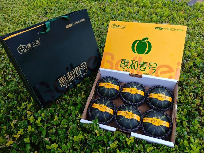 南小萌惠和一号贝贝南瓜实力供应量大从优欢迎选购