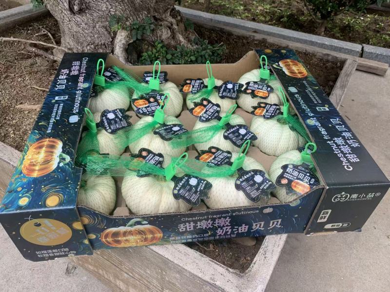 南小萌奶油贝贝南瓜口感粉糯全年供应品质保证欢迎联系