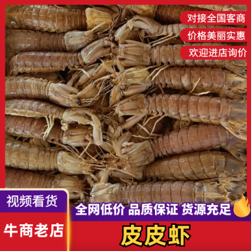 【今日推荐】皮皮虾对接全国可视频看货欢迎下单咨询