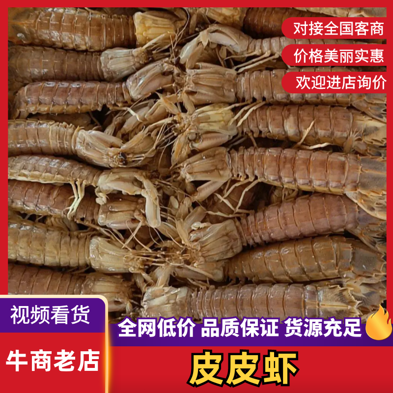 【今日推荐】皮皮虾对接全国可视频看货欢迎下单咨询