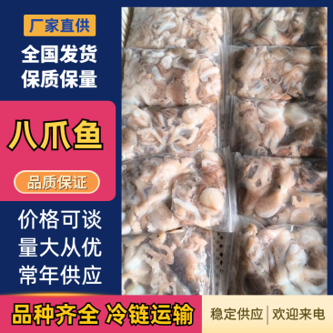 活冻鲜活大长腿八爪鱼短腿八爪鱼江苏海鲜水产