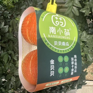 南小萌金贝贝南瓜供应商超档口团购电商欢迎考察合作