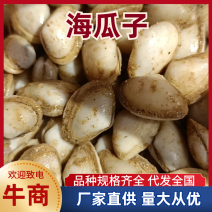 连云港海瓜子产地直发，可视频看货，欢迎致电联系