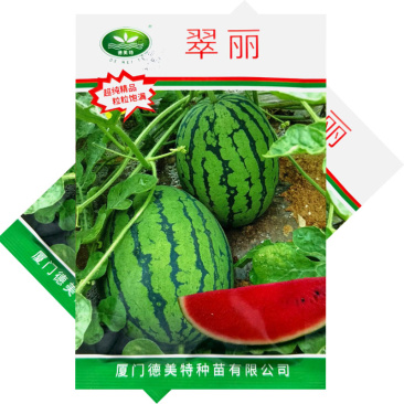 翠丽翠玲西瓜种子早熟薄皮耐裂早春红玉4K西瓜种子