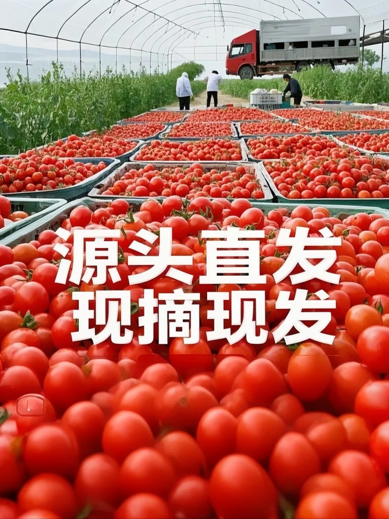 山东平度直供，产地一手价告别中间商