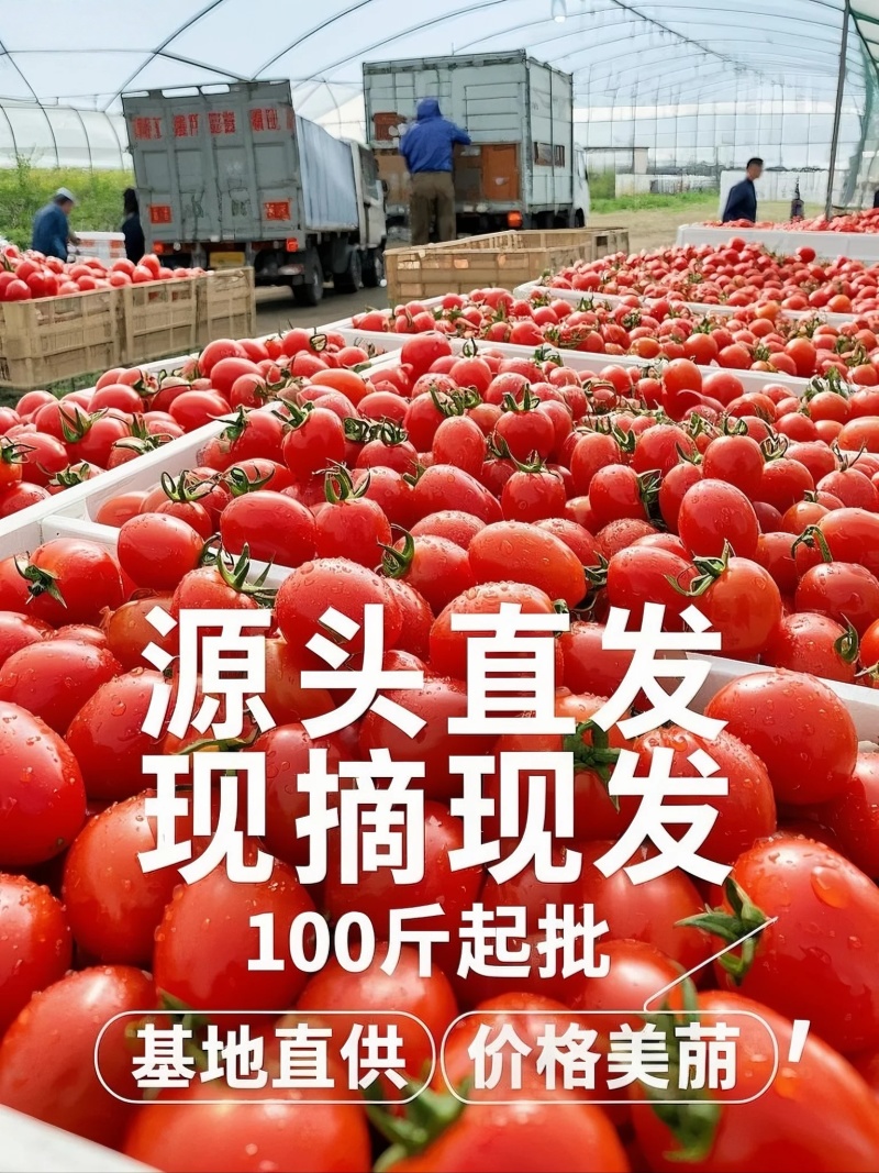 山东平度直供，产地一手价告别中间商