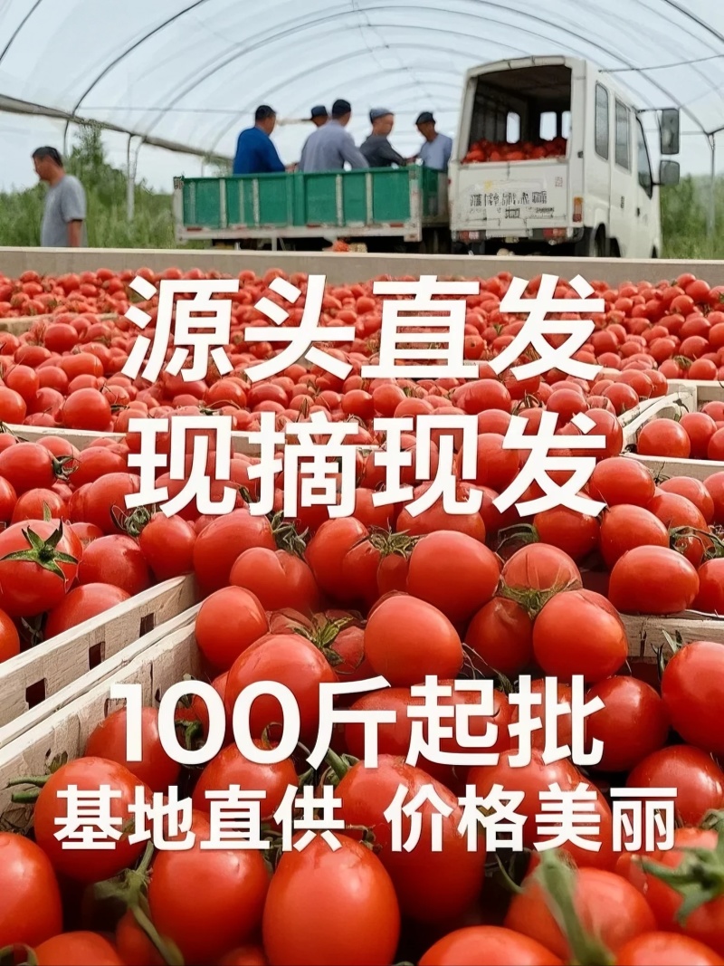 山东平度直供，产地一手价告别中间商