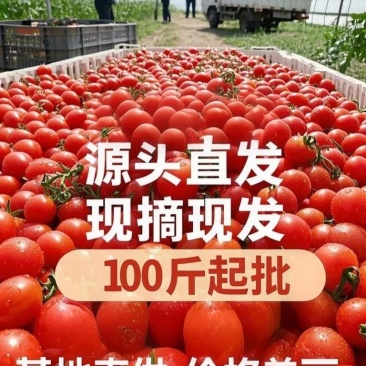 山东平度直供，产地一手价告别中间商