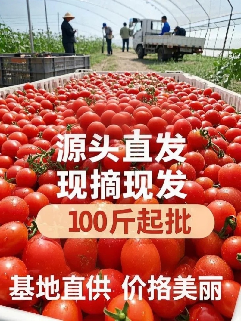 山东平度直供，产地一手价告别中间商