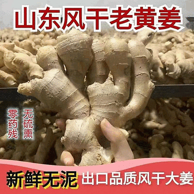 【大黄姜/红芽姜/水洗风干姜】产地批发/常年供应
