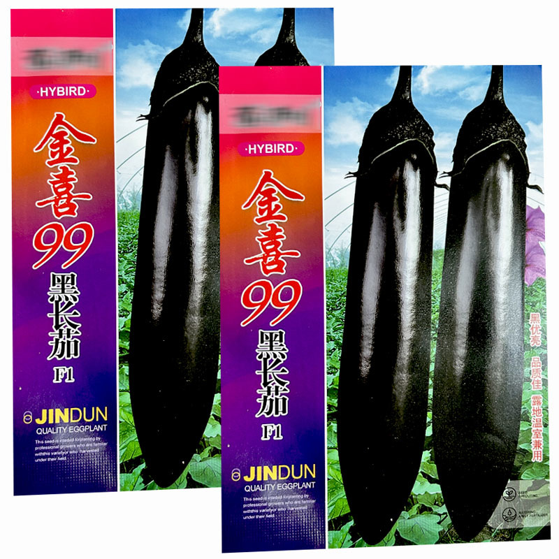 黑色长茄子种子金喜99早熟紫黑抗病长棒形蔬菜基地专用