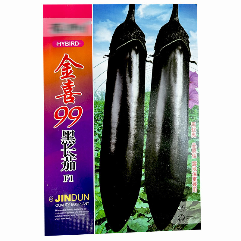 黑色长茄子种子金喜99早熟紫黑抗病长棒形蔬菜基地专用