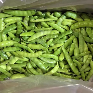 速冻油豆角保质保量对接全国市场量大从优欢迎咨询