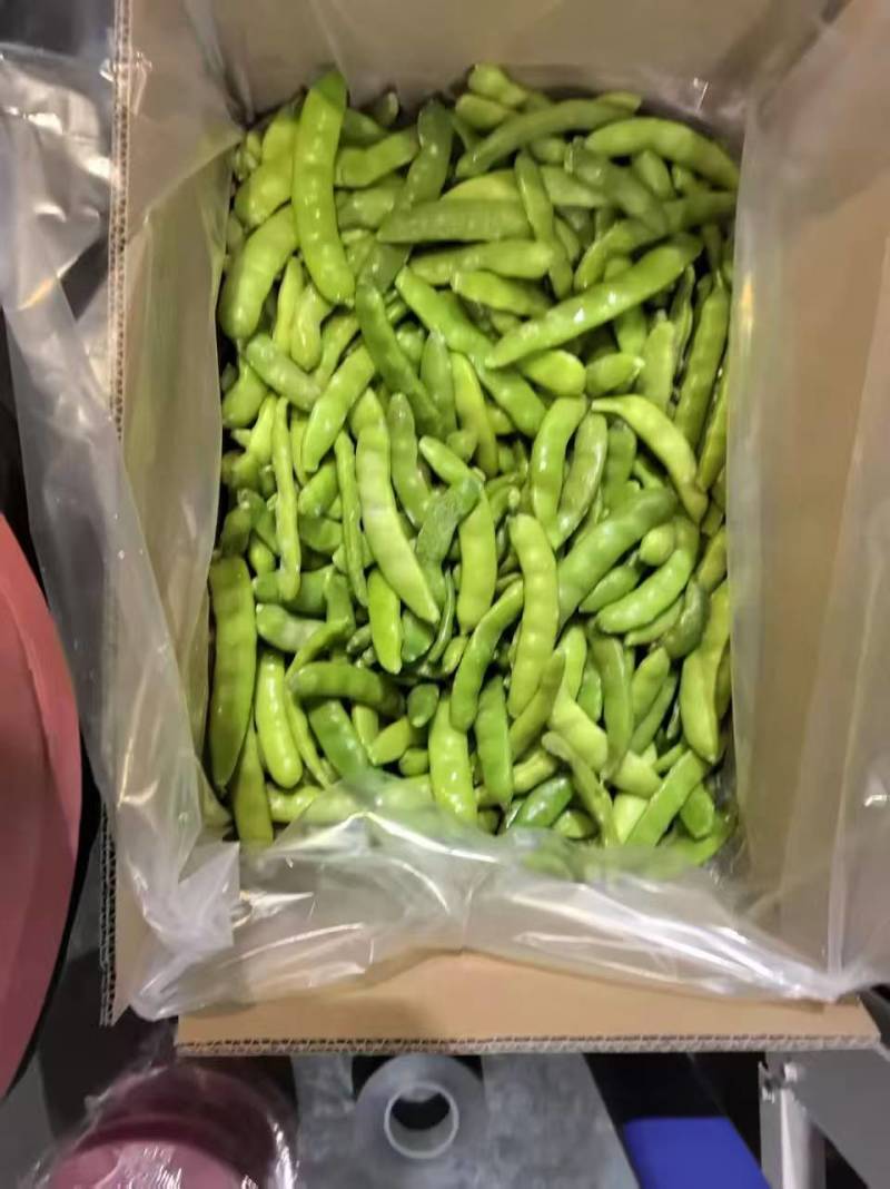速冻油豆角保质保量对接全国市场量大从优欢迎咨询