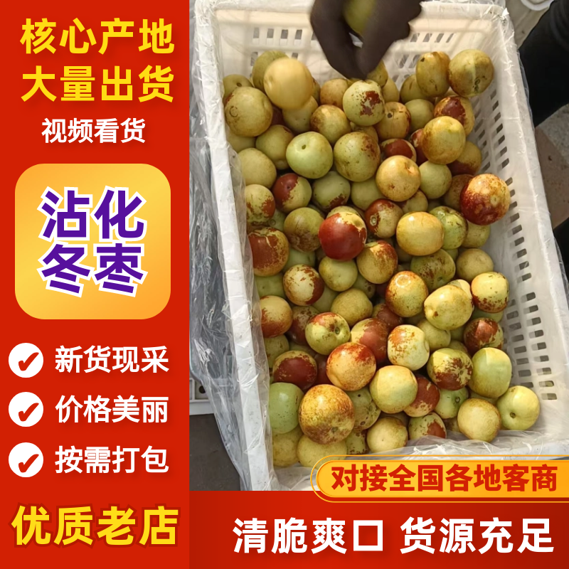 冬枣山东沾化冬枣产地直发货源充足品质保障对接全国