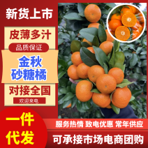 广西砂糖橘沃柑柑桔类，对接外贸供市场电商社区团购