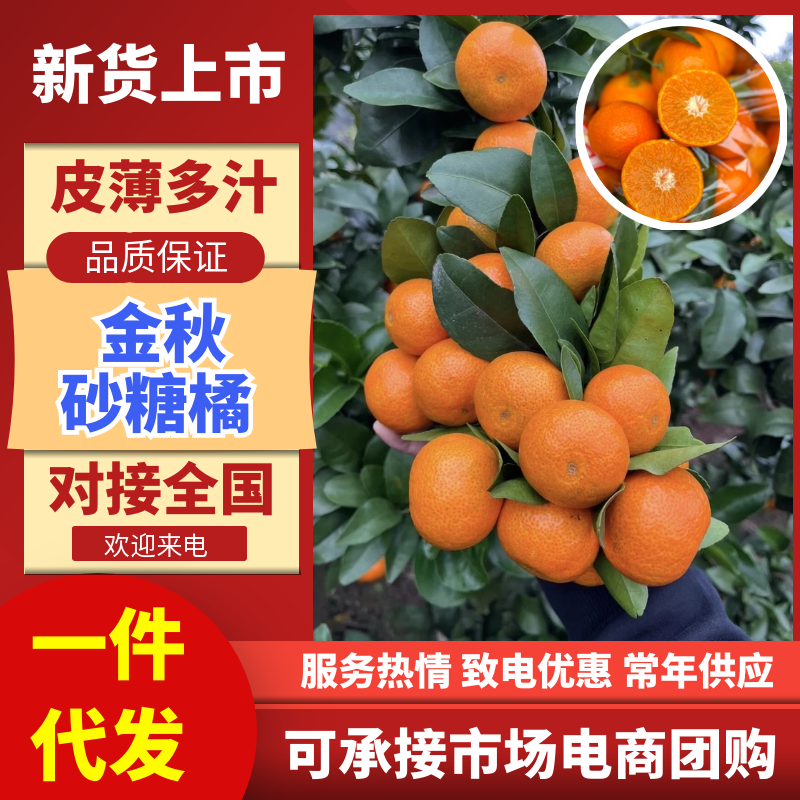 广西砂糖橘沃柑柑桔类，对接外贸供市场电商社区团购