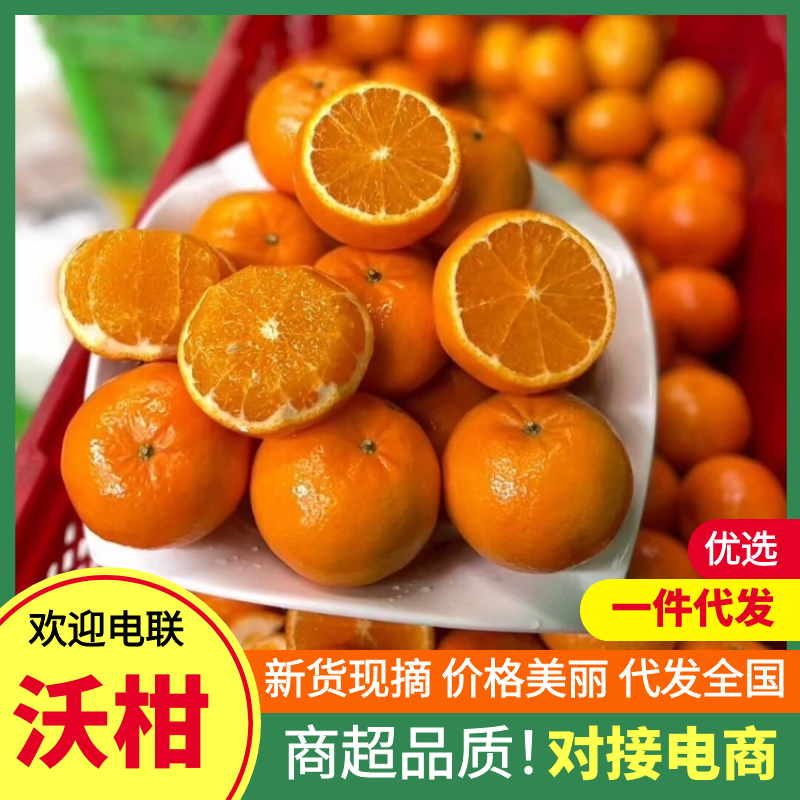 【海量货源】广西武鸣沃柑沙糖桔，供市场电商社区团购