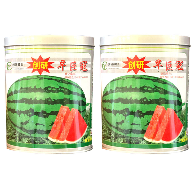 创研早巨冠西瓜种子京欣懒汉西瓜种籽抗病耐重茬大田基地