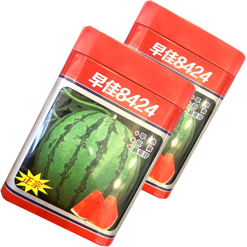 早佳8424西瓜种子早熟圆果麒麟西瓜种籽易坐果大田基地用