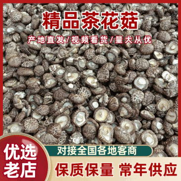 精品茶花菇干菇品质优基地直供可视频看货欢迎咨询来