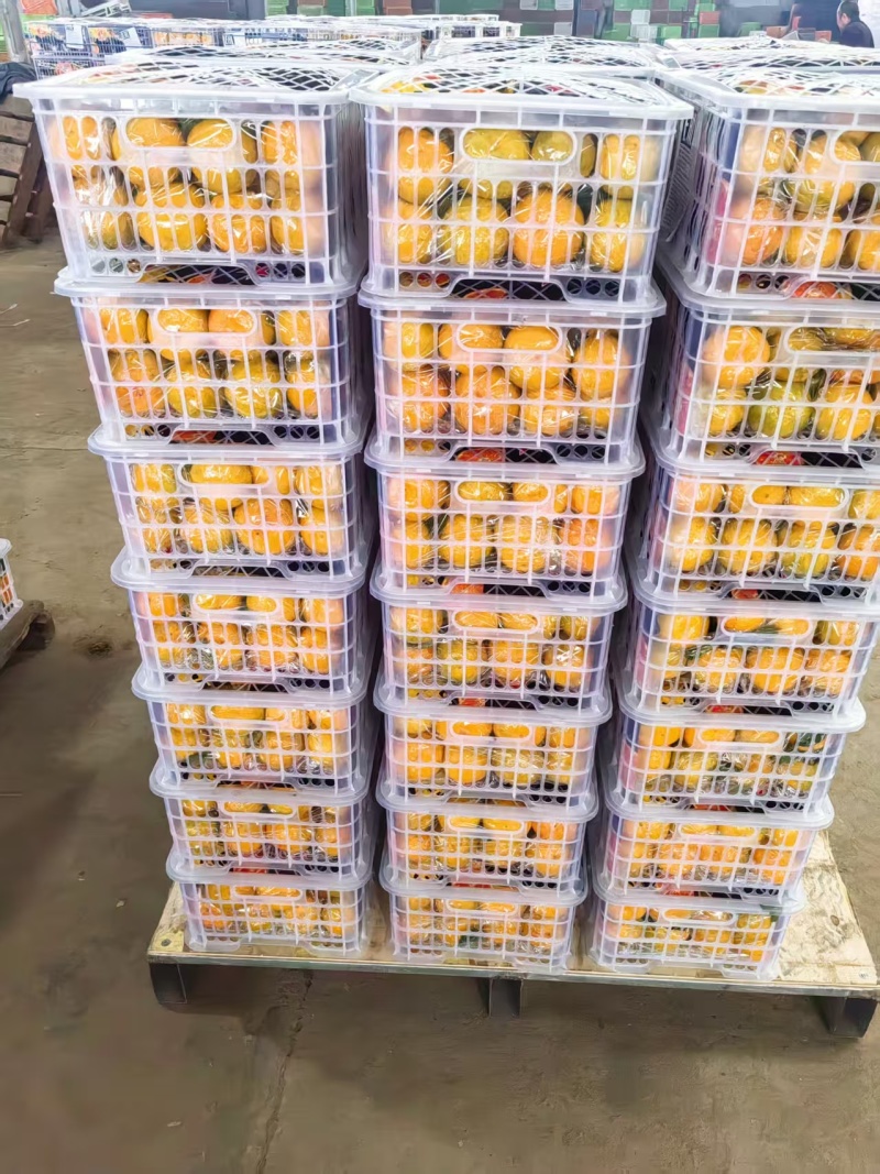 好货推荐精品蜜橘对接电商市场商超保质保量坏果包赔