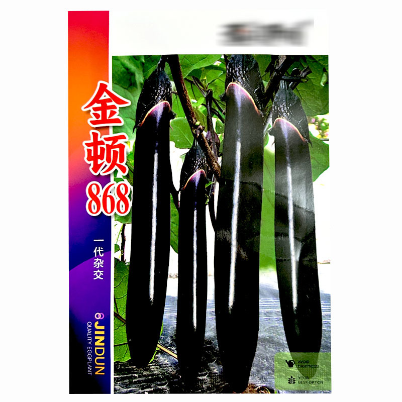 金顿868长茄子种子早熟杂交黑亮光泽大田基地品种